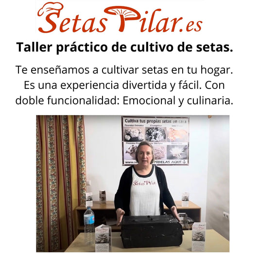Taller práctico de cultivo de setas.