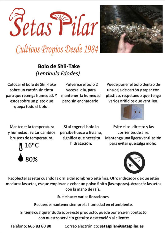 Bala/Alpaca Shii-Take Germinada 1,6 Kg