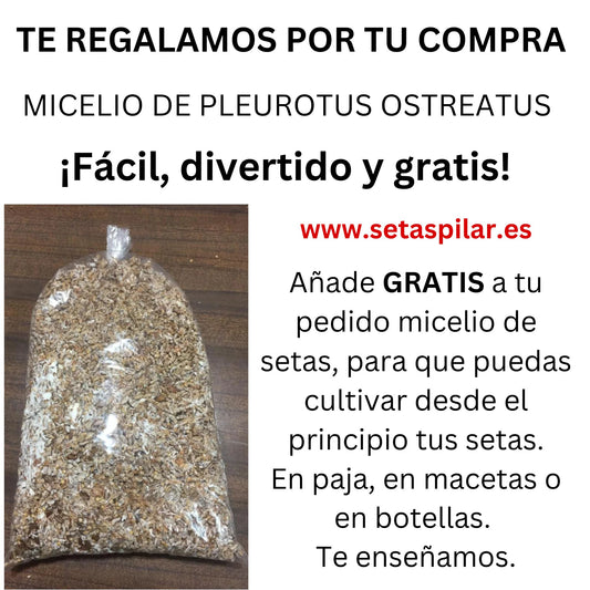 Añade a la cesta 1 REGALO, por tu compra. Ver video tutorial pulsando en la foto.