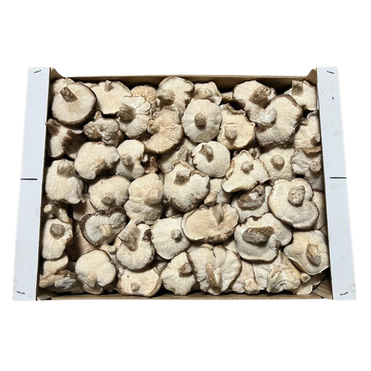 Promoción: SETAS SHII-TAKE 2KG.