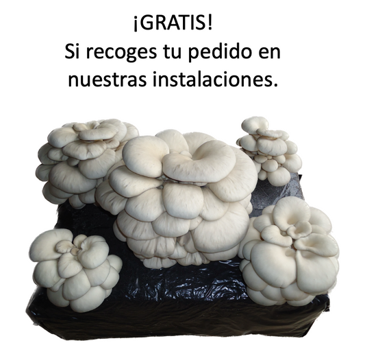 Confirma al teléfono 665836080 para recogidas en nuestras instalaciones.