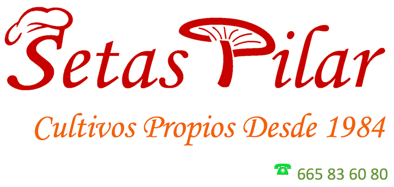 Setas Pilar logo